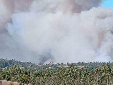 Declaran Alerta Roja para Navidad por incendio forestal cercano a sectores poblados: solicitan evacuar sectores de la comuna