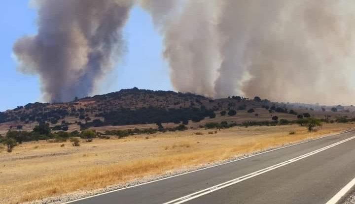 Solicitan evacuar el sector de Pihuelo en La Estrella por incendio forestal: 1.544 hectáreas han sido consumidas