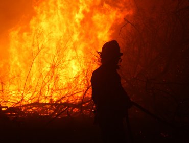 1.900 hectáreas y once viviendas son consumidas en voraz incendio en La Estrella y Navidad