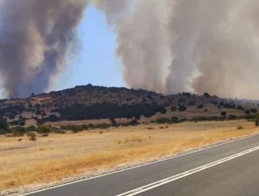 Solicitan evacuar el sector de Pihuelo en La Estrella por incendio forestal: 1.544 hectáreas han sido consumidas