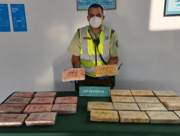 Decomiso de 30 kilos de droga de alta pureza en bus que circulaba por la Ruta 5 Norte deja dos detenidos