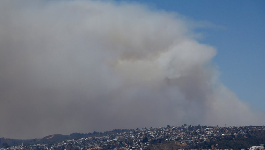 30 hectáreas ha consumido el incendio forestal entre el sector de Placilla y Casablanca que mantiene el tránsito cortado en la ruta 68