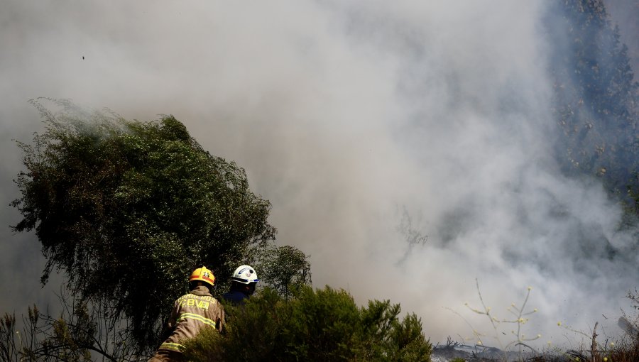 Ordenan evacuar cinco sectores de la comuna de Viña del Mar por incendio forestal