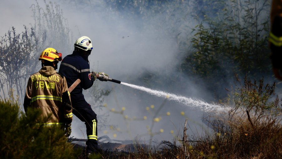 Bomberos por incendio en Reserva Lago Peñuelas de Valparaíso: "Claramente hay intencionalidad"