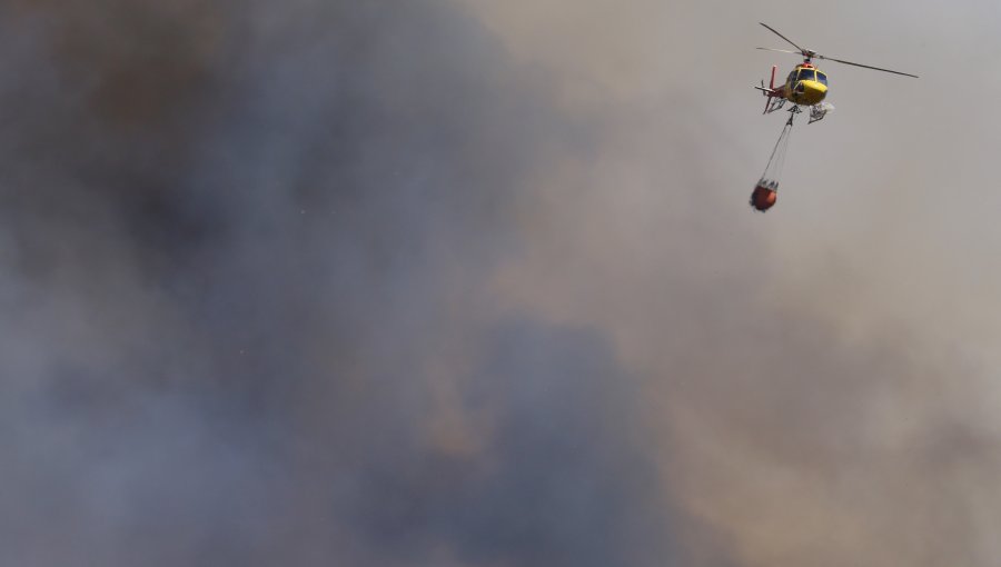 Ordenan evacuar los sectores de Achupalllas y Villa Independencia en Viña del Mar por incendio forestal