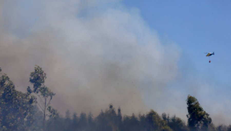 Solicitan evacuar los sectores de Villa Rukan y Reñaca Alto en la comuna de Viña del Mar por incendio forestal