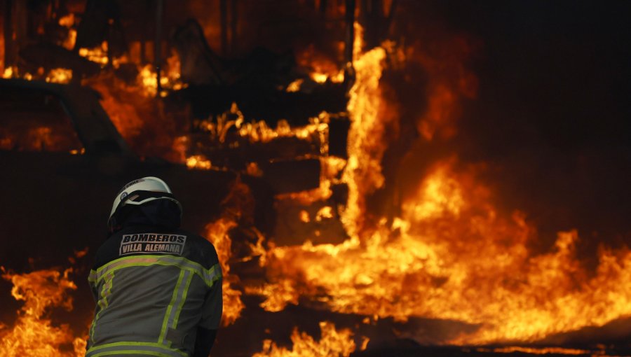 Más de 7.800 hectáreas han sido arrasadas por incendios forestales en la región de Valparaíso