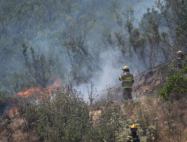 Declaran Alerta Roja para Valparaíso por incendio forestal en camino Las Docas
