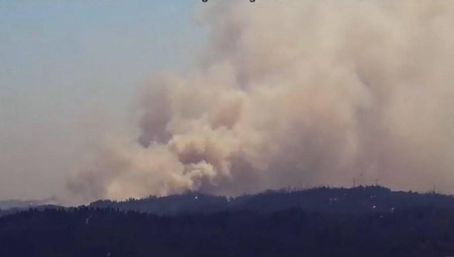 Tránsito se mantiene cortado en Ruta 68 por incendio forestal en Casablanca