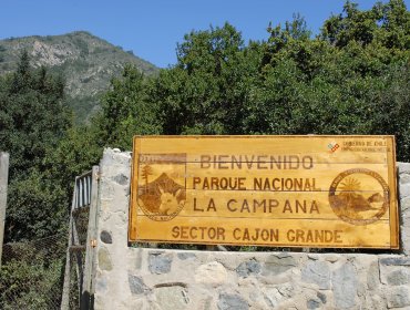 Encuentran sin vida a mujer extraviada en Parque Nacional La Campana