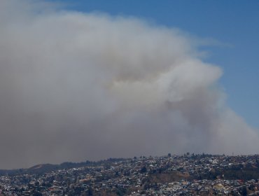 30 hectáreas ha consumido el incendio forestal entre el sector de Placilla y Casablanca que mantiene el tránsito cortado en la ruta 68