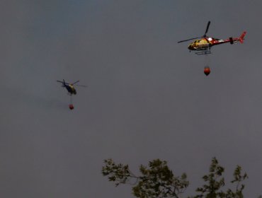 Declaran Alerta Roja para las provincias de Valparaíso y Marga Marga por incendios forestales