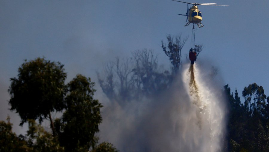 Declaran Alerta Amarilla para las provincias de Los Andes, Petorca, Quillota, San Antonio y San Felipe por incendio forestal