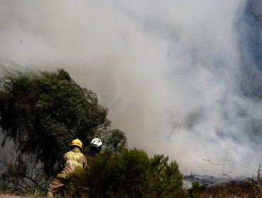 Ordenan evacuar cinco sectores de la comuna de Viña del Mar por incendio forestal