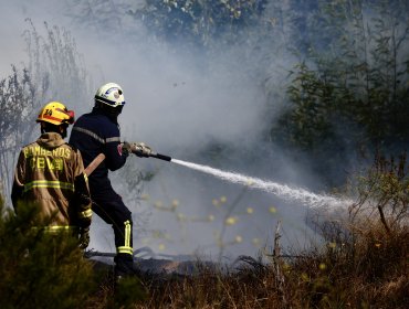 Bomberos por incendio en Reserva Lago Peñuelas de Valparaíso: "Claramente hay intencionalidad"