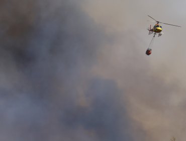 Ordenan evacuar los sectores de Achupalllas y Villa Independencia en Viña del Mar por incendio forestal