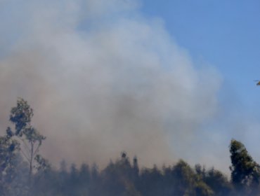 Solicitan evacuar los sectores de Villa Rukan y Reñaca Alto en la comuna de Viña del Mar por incendio forestal