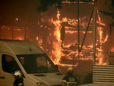 Declaran Alerta Roja para las provincias de Los Andes, Petorca, Quillota, San Antonio y San Felipe por incendio forestal