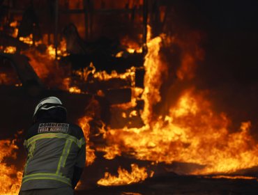 Más de 7.800 hectáreas han sido arrasadas por incendios forestales en la región de Valparaíso