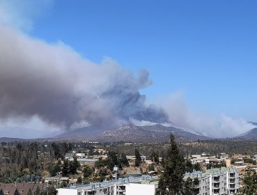 Solicitan evacuar los sectores Quebrada Escobares y Fundo el Rincón de Villa Alemana por incendio forestal