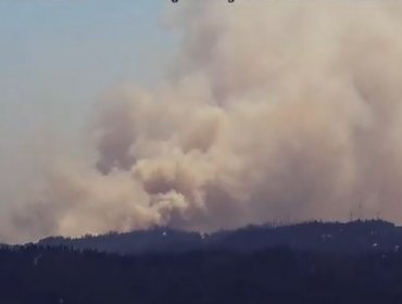 Tránsito se mantiene cortado en Ruta 68 por incendio forestal en Casablanca