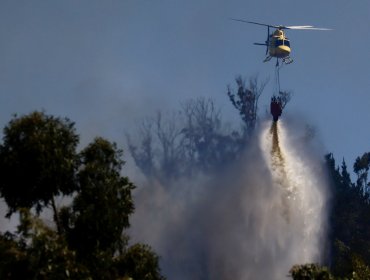 Declaran Alerta Amarilla para las provincias de Los Andes, Petorca, Quillota, San Antonio y San Felipe por incendio forestal