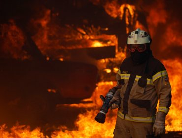 Senapred ordena evacuar diversas localidades de Viña del Mar y Quilpué por incendio forestal