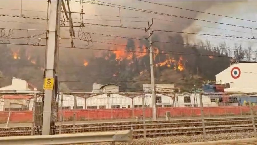 Fábrica de Tricolor en El Salto es alcanzada por las llamas en Viña del Mar: Se declara incendio industrial