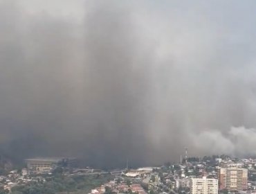 Voraz foco de incendio amenaza a los sectores de Limonares y Miraflores en Viña del Mar
