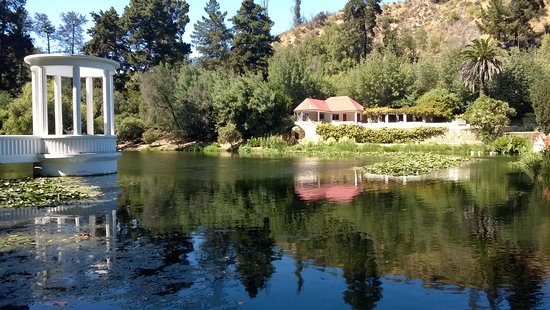 Cuatro personas pierden la vida en incendio al interior del Jardín Botánico de Viña del Mar