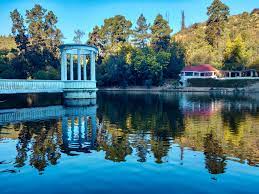 Bomberos confirma que el Jardín Botánico de Viña del Mar se quemó en su totalidad