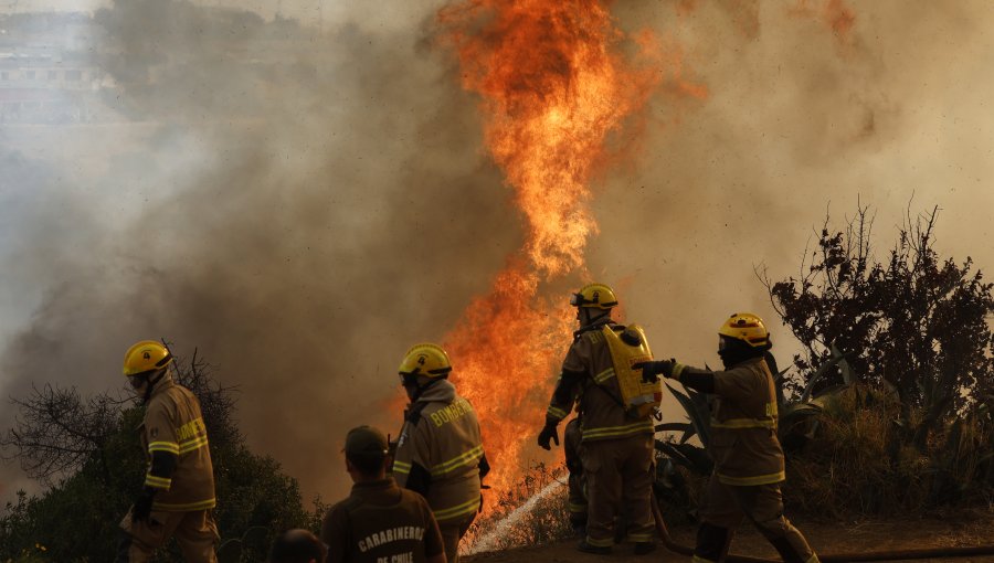 Conaf reporta 13 incendios forestales vigentes con 21.127 hectáreas arrasadas
