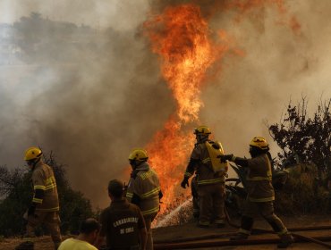 Conaf reporta 13 incendios forestales vigentes con 21.127 hectáreas arrasadas