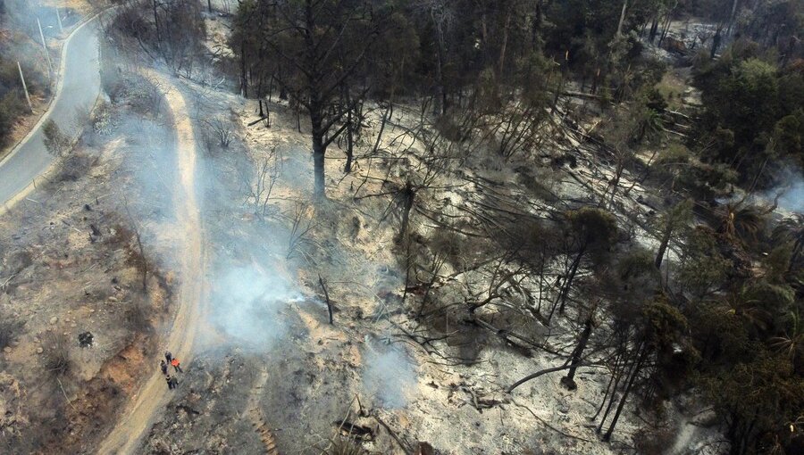 Detienen en Viña del Mar a dos sospechosos de provocar incendios en los alrededores del Jardín Botánico