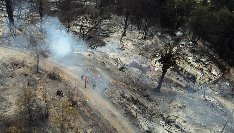 Fiscalía decide no formalizar a los dos detenidos acusados de generar incendios en los alrededores del Jardín Botánico