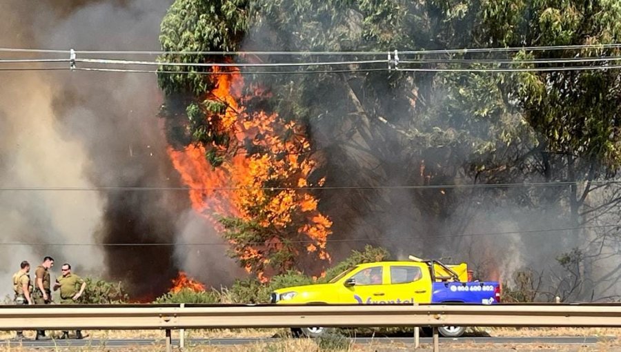 Detienen a presunto responsable de incendio forestal en Lautaro: habría estado realizando trabajos de soldadura