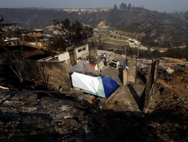 Subsecretario del Interior informó que los incendios en la región de Valparaíso "están contenidos"