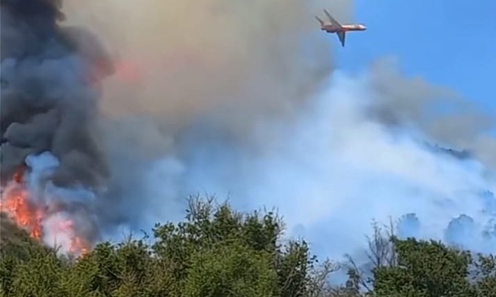 Incendio forestal de rápido avance se registra cerca del santuario de Lo Vásquez en Casablanca