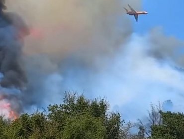 Incendio forestal de rápido avance se registra cerca del santuario de Lo Vásquez en Casablanca