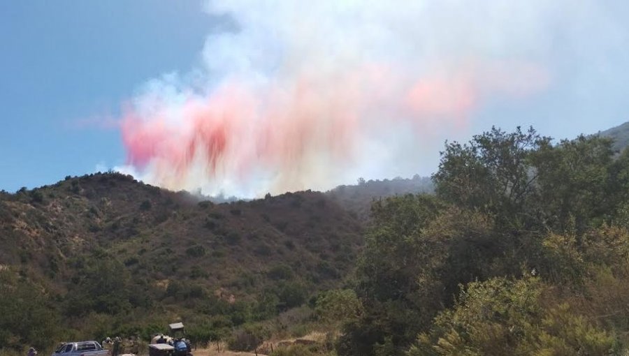 Controlan incendio forestal en Casablanca que había generado Alerta Roja para la provincia de Valparaíso