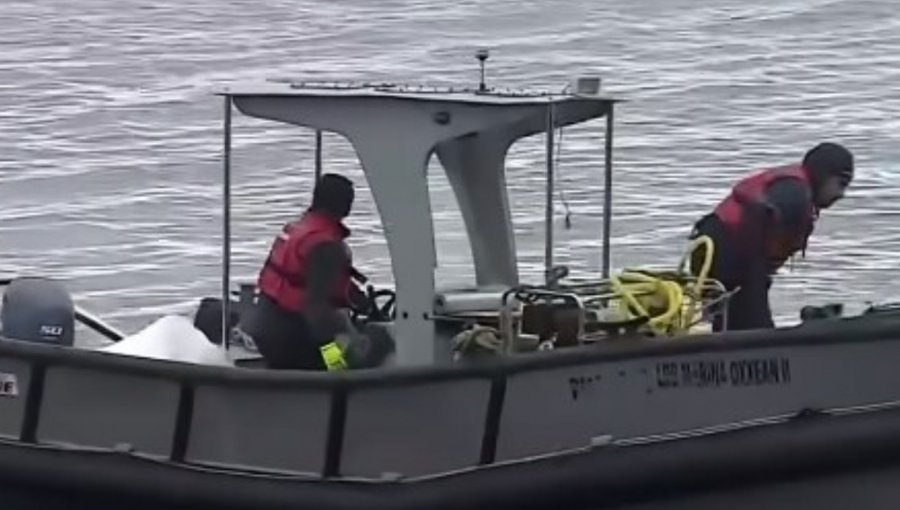 Inician trabajos de reflote del helicóptero del expresidente Sebastián Piñera en Lago Ranco