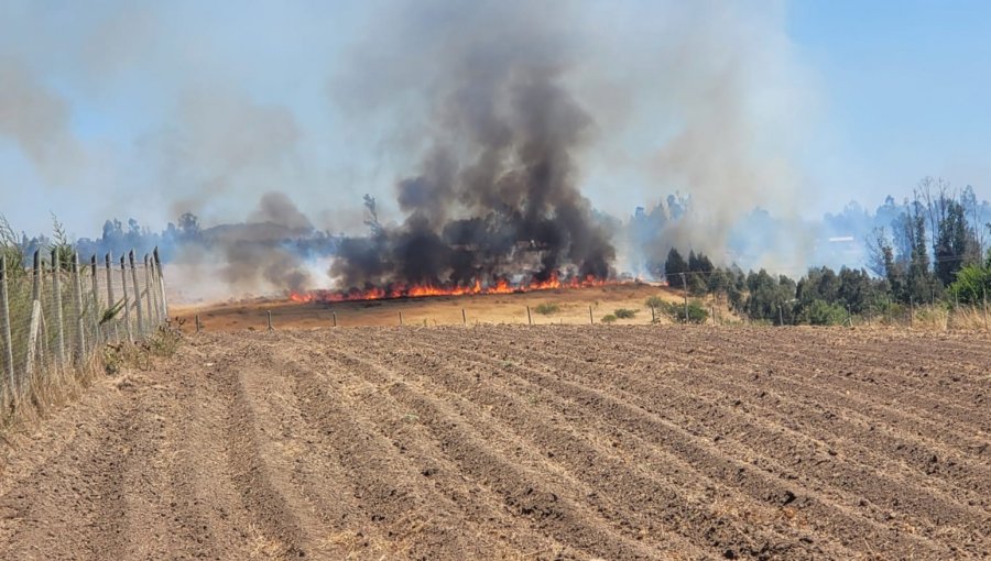 Incendio forestal de rápida propagación se registra en Cartagena