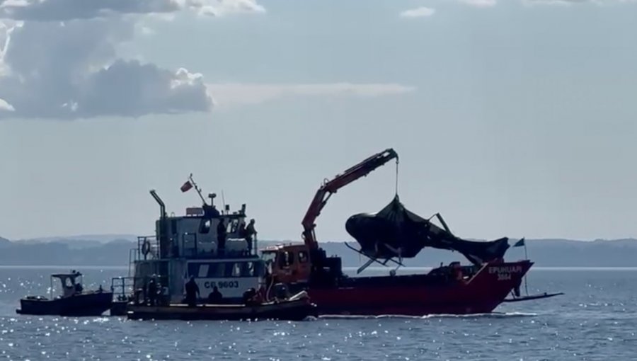 Extraen helicóptero del expresidente Sebastián Piñera desde el Lago Ranco
