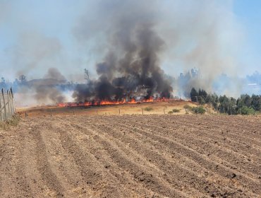 Incendio forestal de rápida propagación se registra en Cartagena