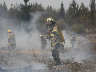 Detienen a un sujeto sospechoso de prender fuego en Paine