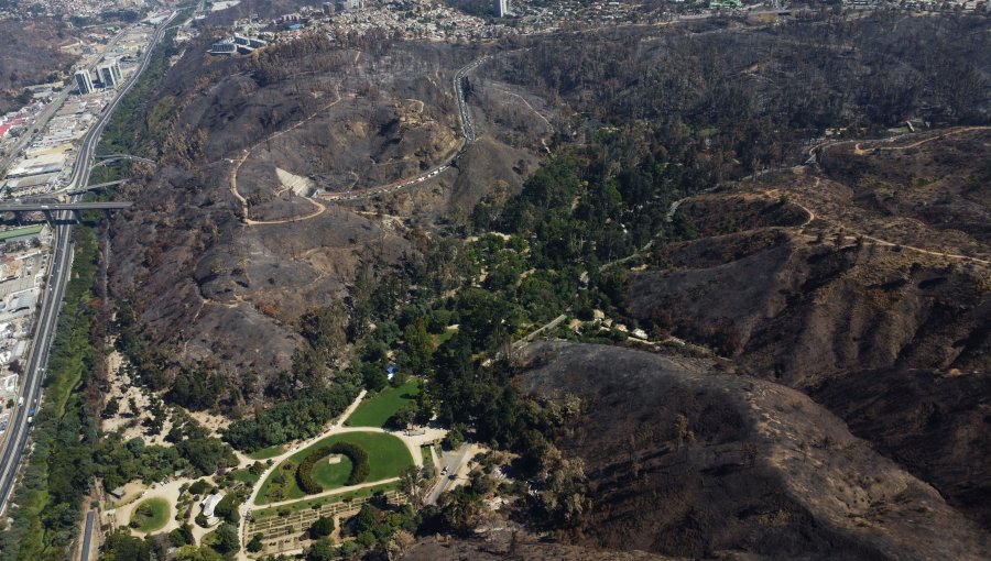 Ministerio de Agricultura compromete casi $500 millones para restaurar el Jardín Botánico de Viña del Mar