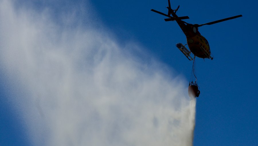 Declaran Alerta Roja para Cholchol por incendio forestal que presenta cercanía a sectores habitados