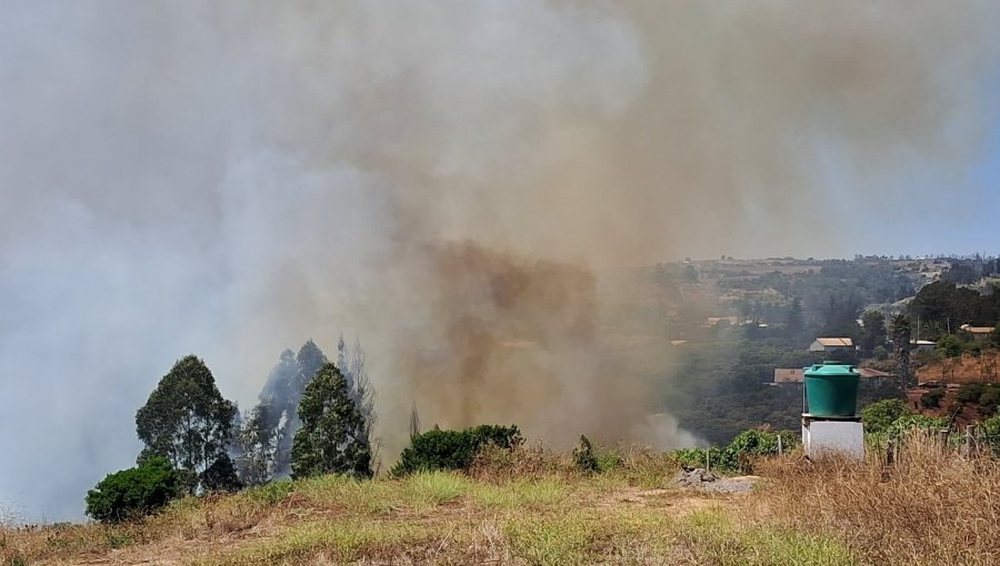 Declaran Alerta Roja para Santo Domingo por incendio forestal que amenaza a viviendas