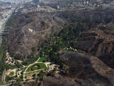 Ministerio de Agricultura compromete casi $500 millones para restaurar el Jardín Botánico de Viña del Mar