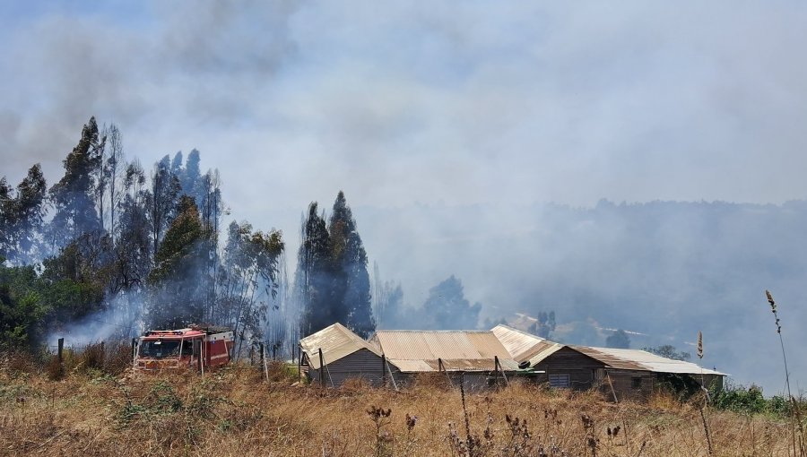 Incendio forestal en Santo Domingo mantiene "actividad de baja intensidad al interior del área quemada"